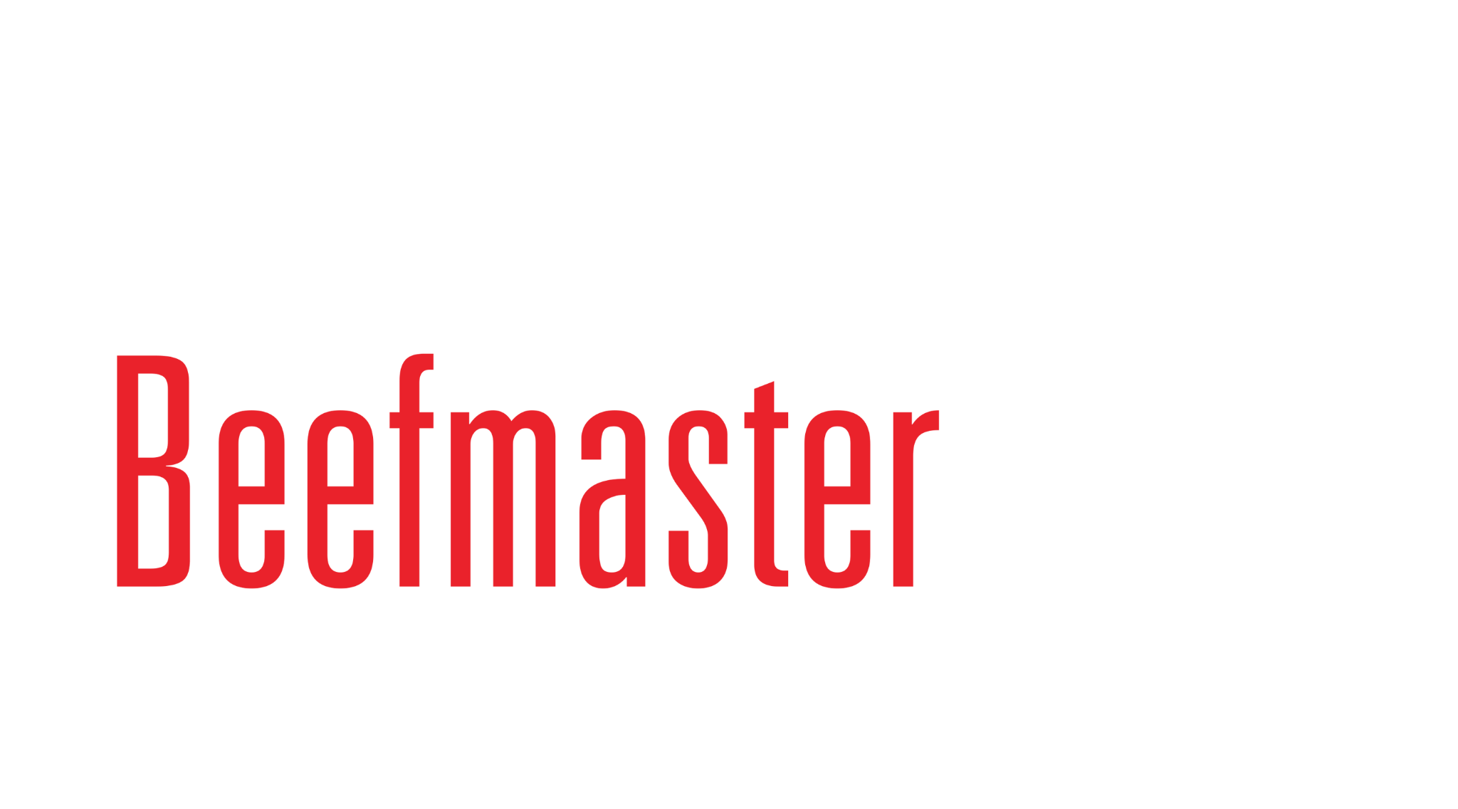 Beefmaster Mexicano